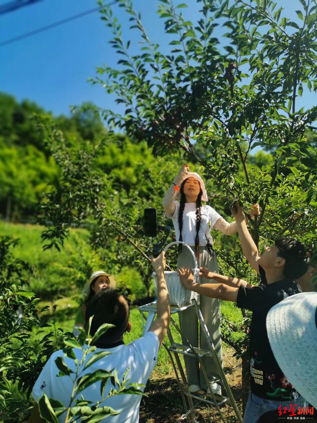 有李"的专场直播销售公益活动在微信,抖音,快手三家平台同时开播