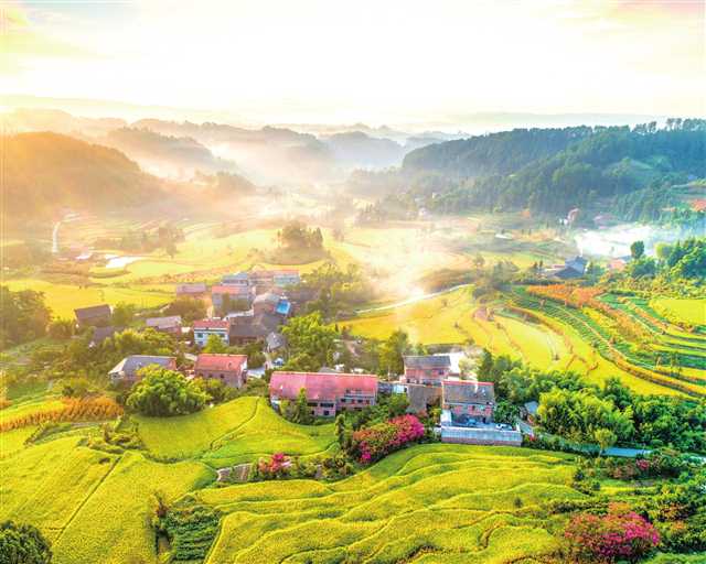 房前屋后,干净整洁;乡间村野,富民增金……7月,走进南川区大观镇金龙