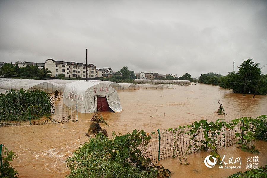 安徽歙县:50年一遇洪水过后
