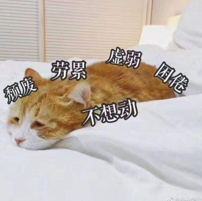 把观众当傻子把同行当瞎子连记性不好也想拿来营销某女星的翻红之路越