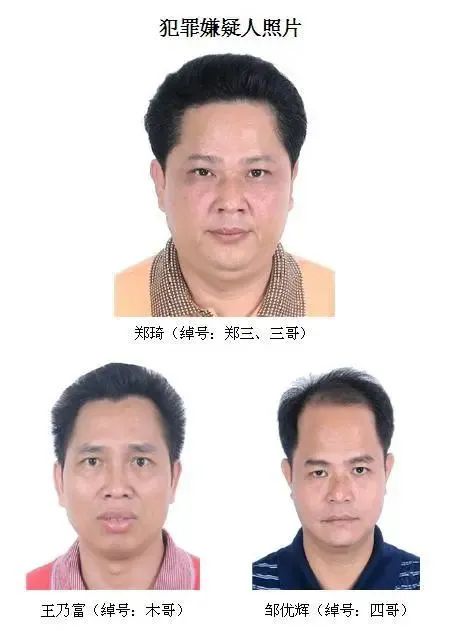 北海市公安局银海分局公开征集郑琦等人涉嫌组织,领导,参加黑社会性质