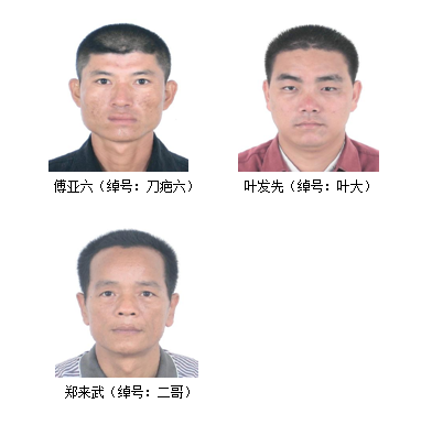 北海市公安局银海分局公开征集郑琦等人涉嫌组织,领导,参加黑社会性质
