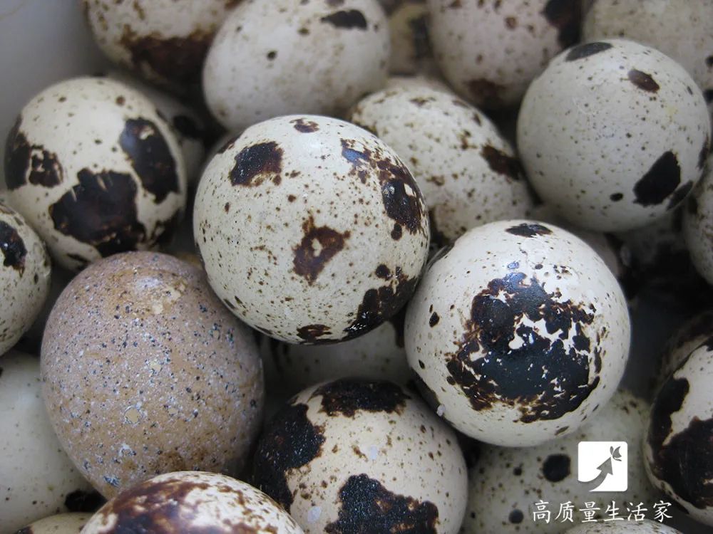 怎么才能煮出完美好剥壳的水煮蛋?|水煮蛋|鹌鹑蛋|鹅蛋_新浪新闻