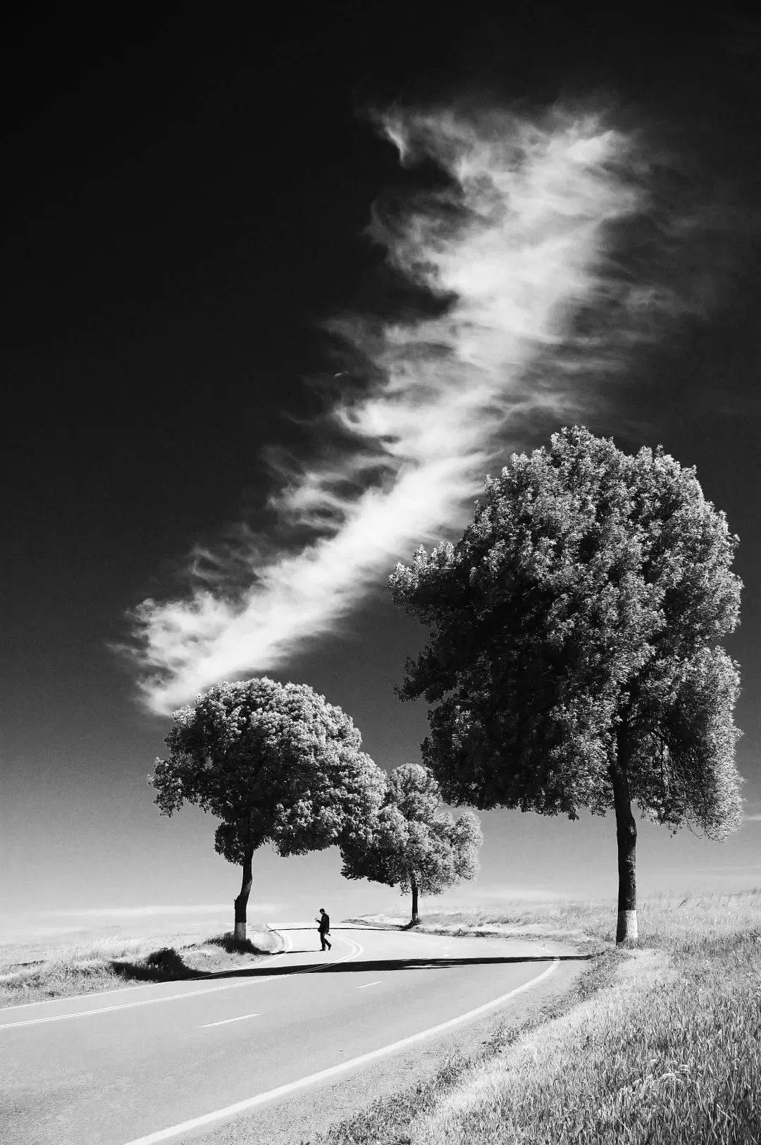 哪种照片适合黑白?不是简单的转成黑白就行了