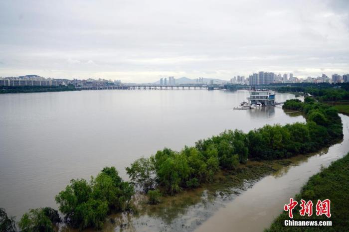 8月8日，首尔盘浦汉江公园内，多处步道、车道、停车场等被淹。连日暴雨致韩国首尔汉江水位猛增，附近部分道路、公园被淹。 中新社记者 曾鼐 摄