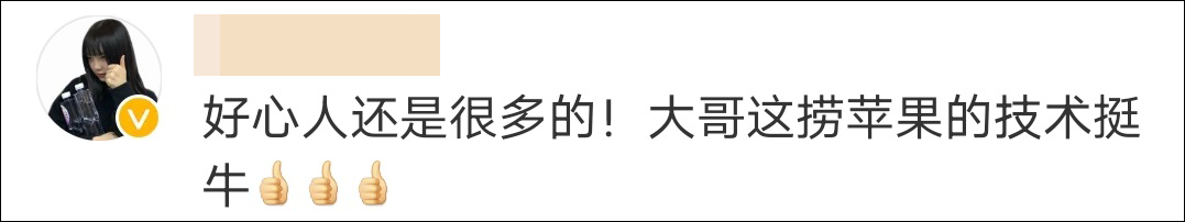 （图源社交媒体，下同）