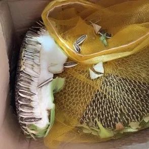 8月10日,记者注意到,在多点上,荷花月销量显示26件,莲蓬月销量为126件