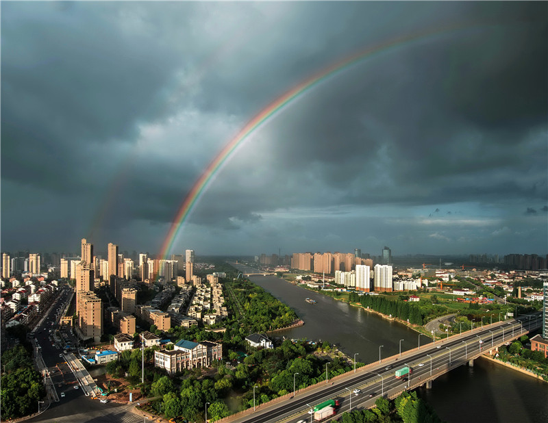 在家看天下·每日一景丨江苏太仓:国家森林乡村美如画