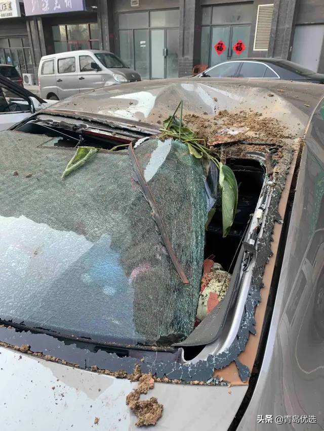 又见高空坠物!青岛一小区楼上坠落一盆花,直接把车给砸烂了!