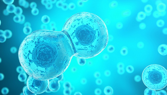 全国首例干细胞买卖案宣判上海一中院改判涉案合同无效