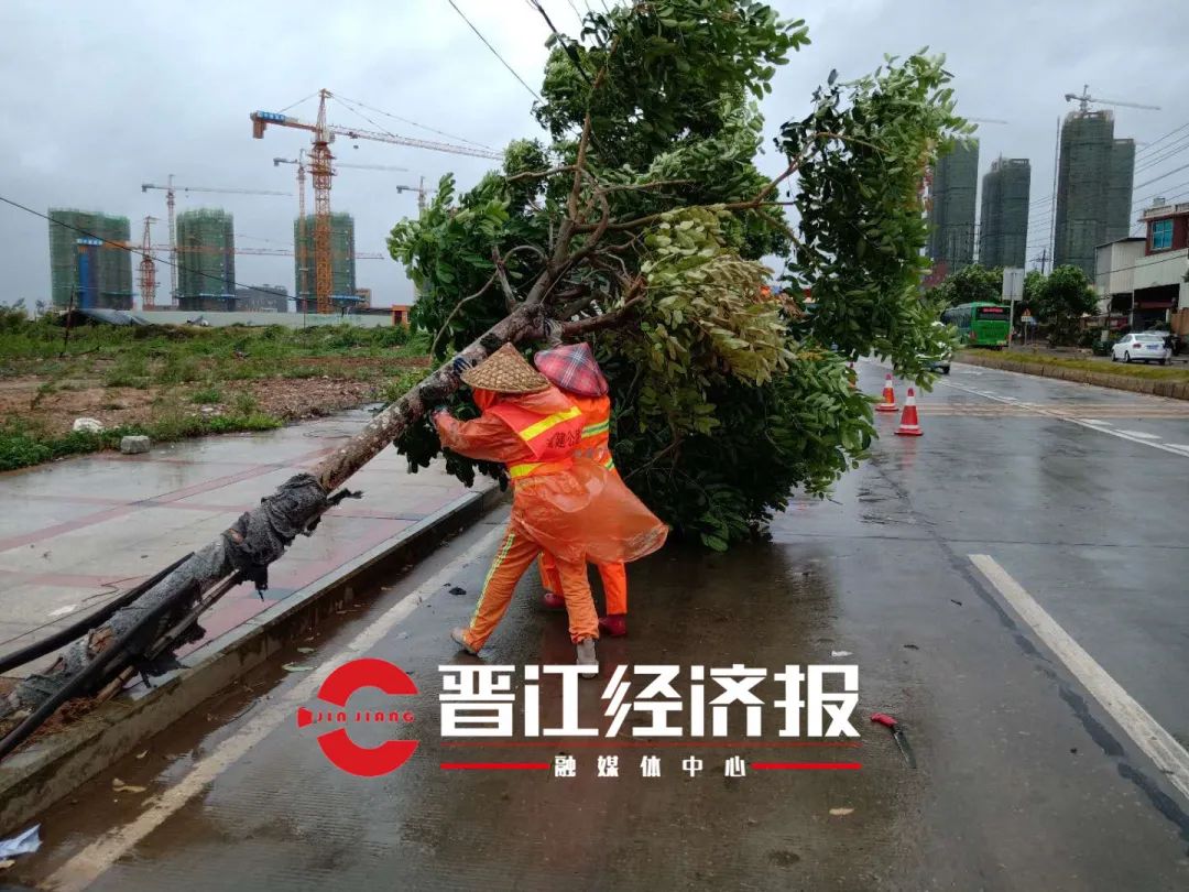 直擊晉江颱風現場!降雨最多是安海!還有.航班,動車最新情況