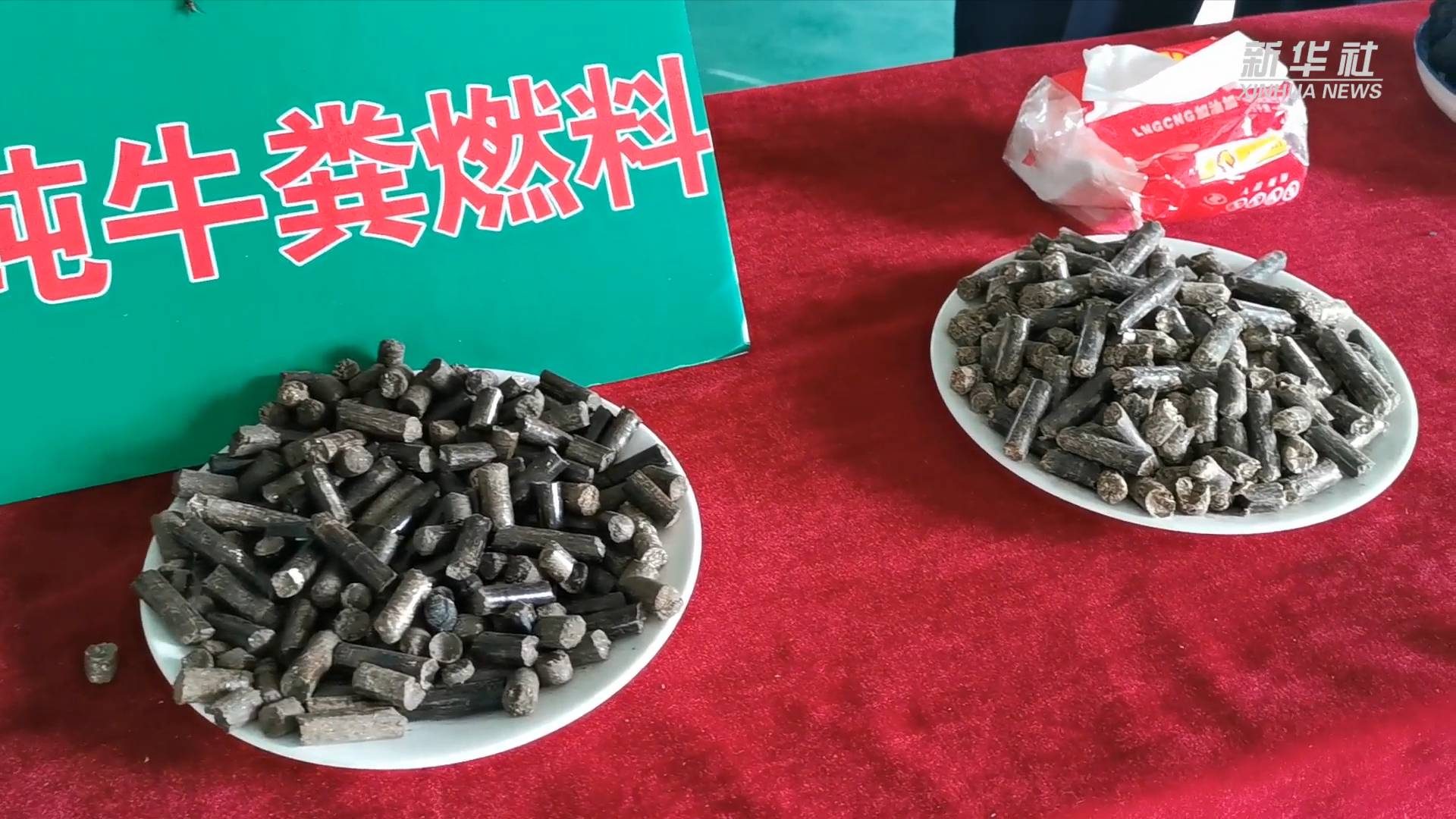 宁夏泾源:养牛村的牛粪味儿散了