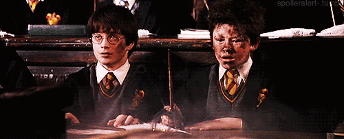 500_202gif 动态图 动图