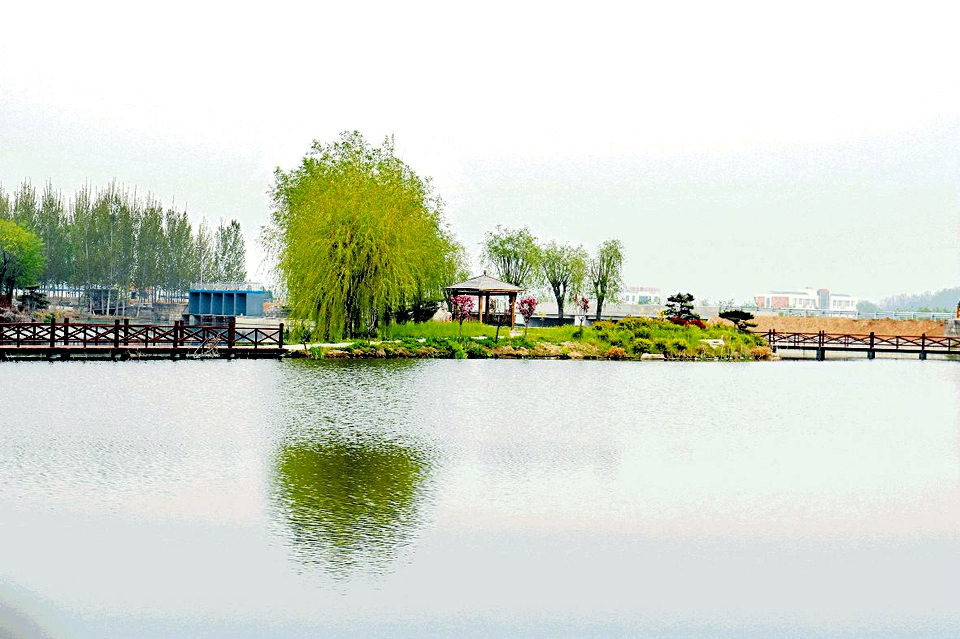 莒县湿地公园尽显生态魅力