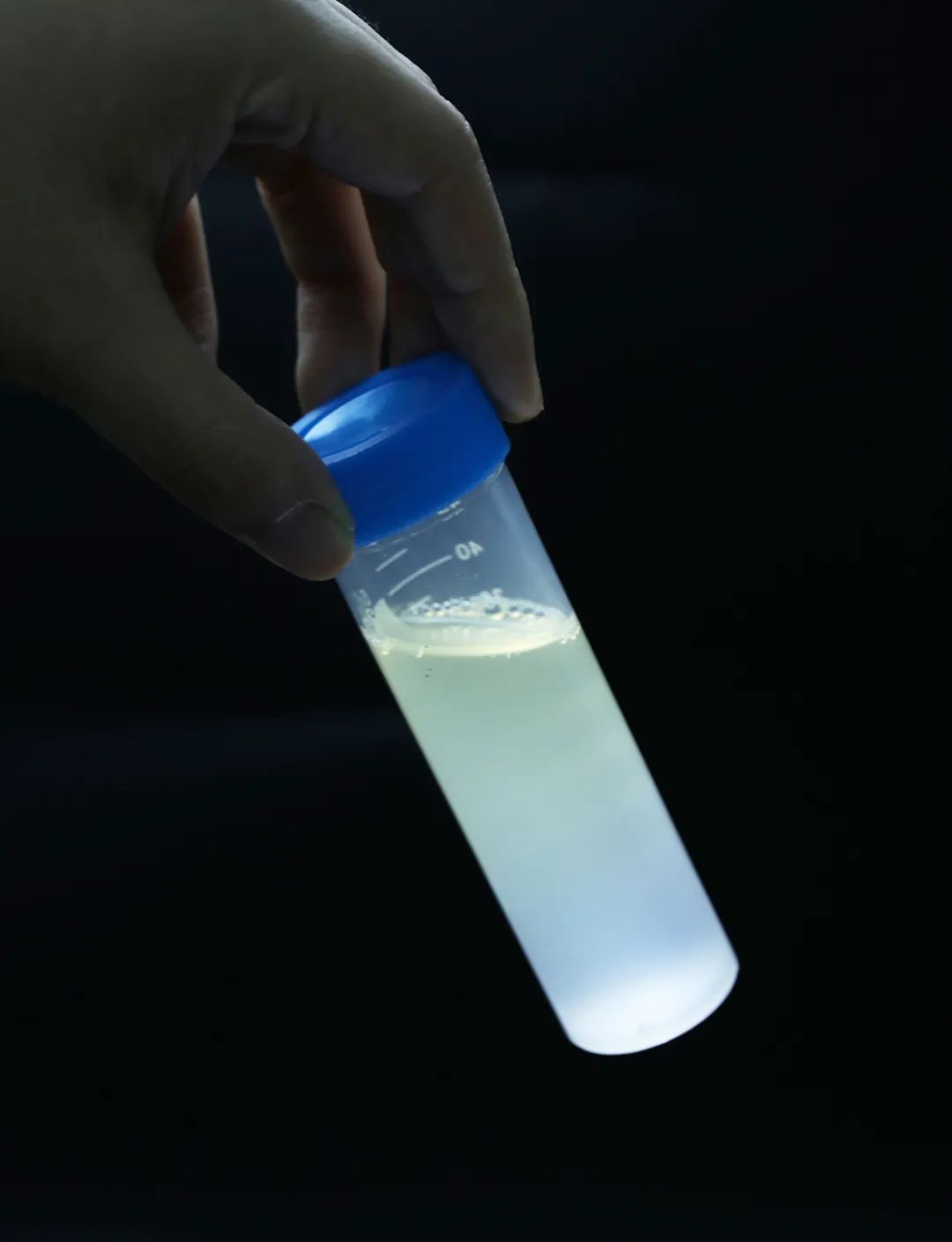 蚕丝蛋白溶液 受访者供图