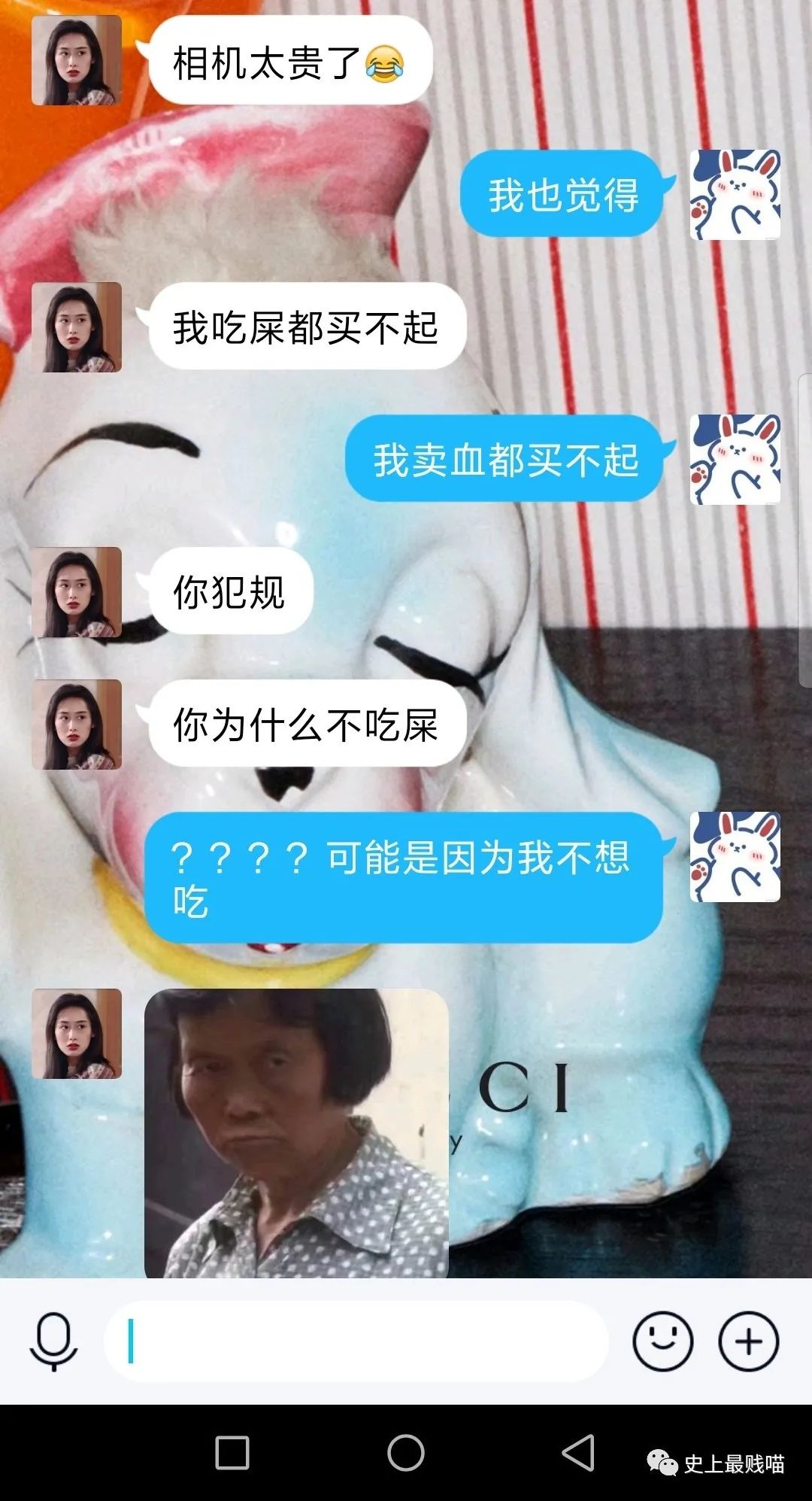 笑死人不偿命的沙雕聊天记录笑出鹅叫哈哈哈哈哈哈