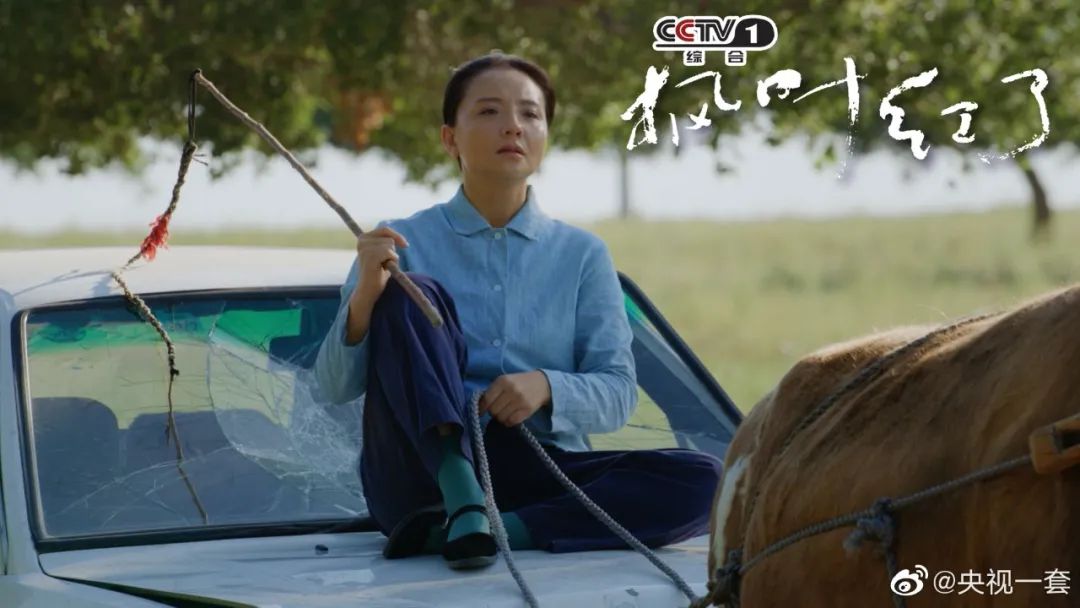 凭借真实剧情,精彩演绎和满满正能量,正在央视1套热播的电视剧《枫叶