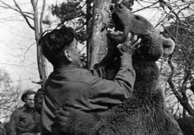 抽烟酗酒,这头熊混迹于军营中,还获得了军衔|沃特|军营|酗酒_新浪新闻