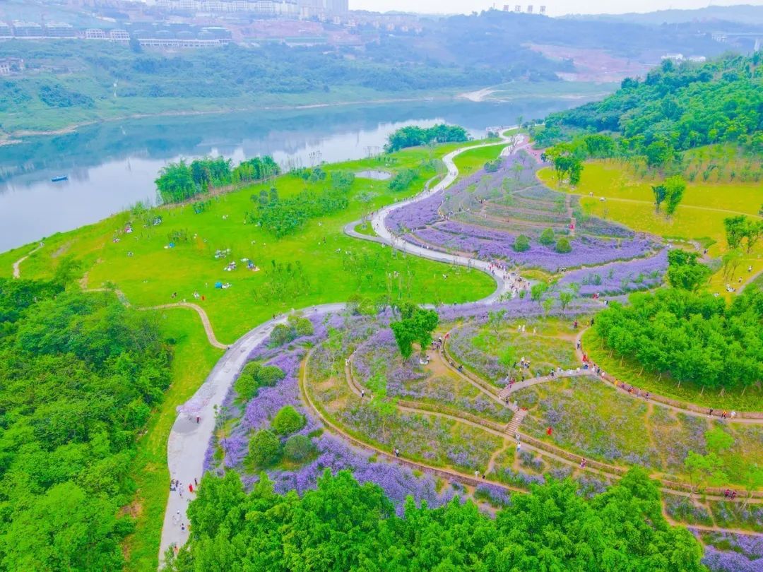 悦来生态滨江公园 邹乐 摄从嘉陵江顺"游"而下在悦来滨江公园可体验