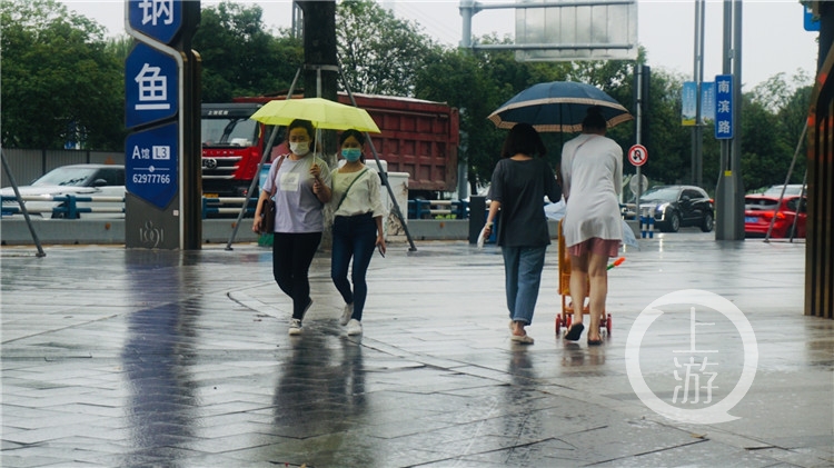 终于下雨了,今天你觉得凉快不?