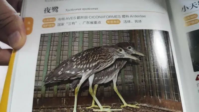 别再疯狂试探了!