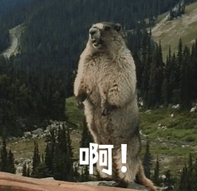 没想到,今天过节!