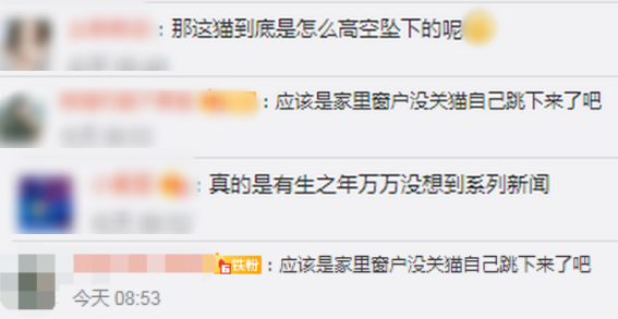 起始亦是终:《复联4》为什么看不起其他时间旅行电影
