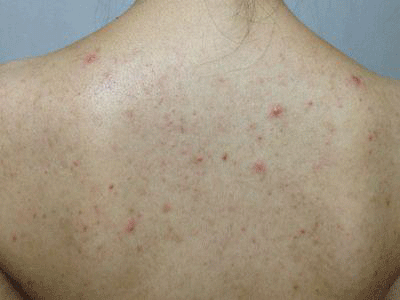 差点被综艺里的网友神弹幕笑吐了哈哈哈哈哈哈哈