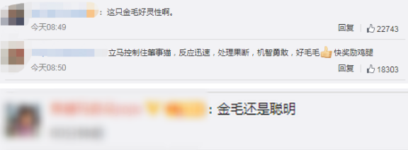 起始亦是终:《复联4》为什么看不起其他时间旅行电影