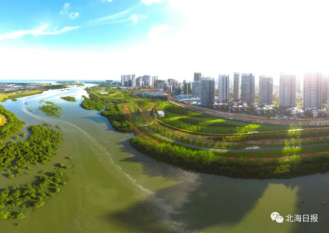 北海市2020城市排名_北海入列!2018-2020周期国家卫生城市(区)命名名单(2)
