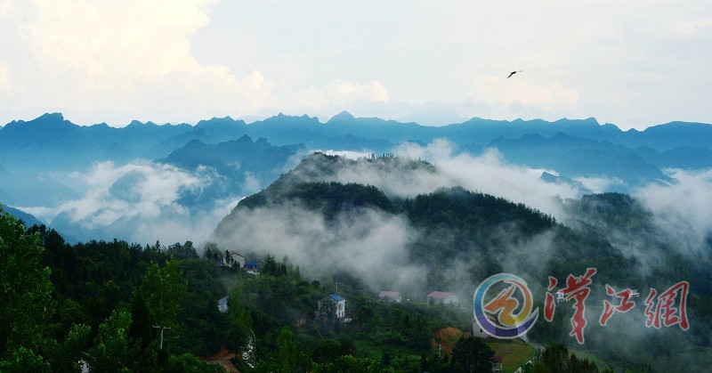 谷城县2020春九年级_2014届湖北襄阳市谷城县九年级中考适应考历史试卷(2)