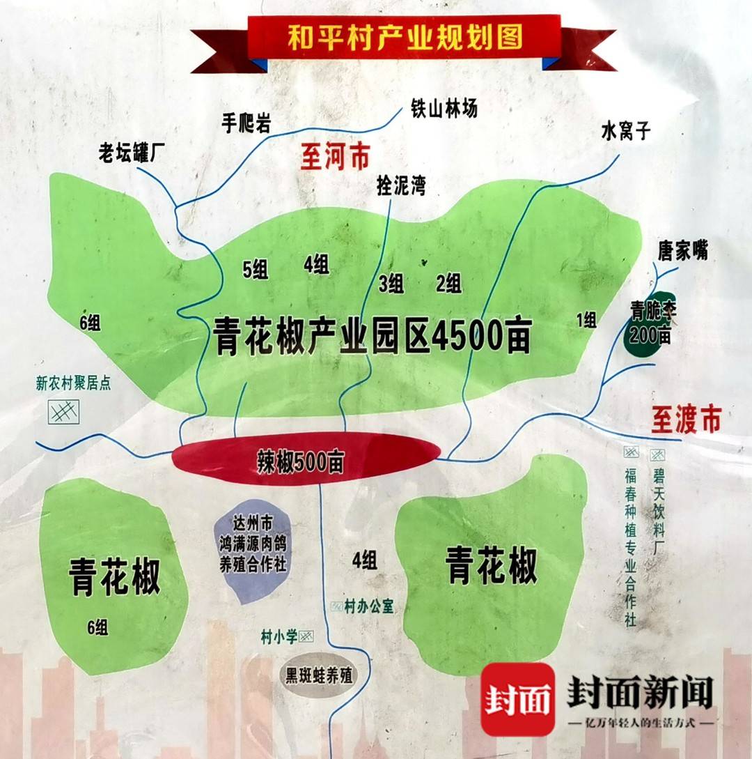 纪委精准帮扶四川达州铁山下的和平村走上麻辣致富路