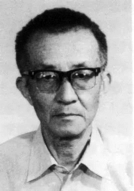 冯康传书写中国数学家传奇