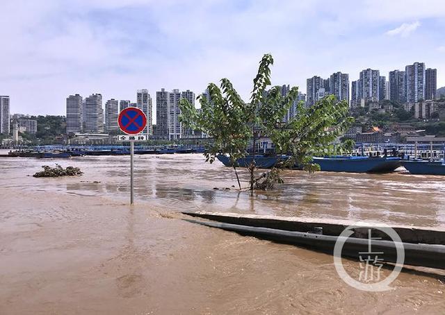 洪峰平安过境主城 朝天门码头水位有所回落,仍维持较高水位