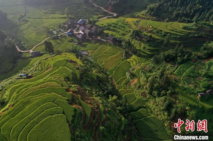 贵州省从江县丙妹镇大塘苗寨晨景. 吴德军 摄