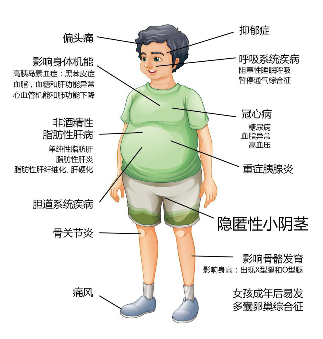 10岁男孩究竟是怎么患上脂肪肝的