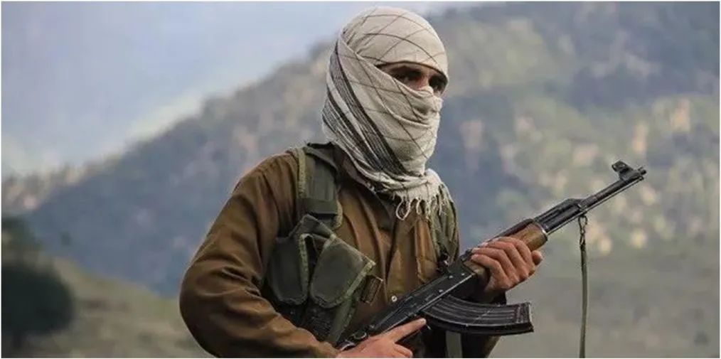 全是百战老兵,了解一下|阿富汗|塔利班|恐怖分子_新浪新闻