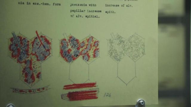 揭秘：二战后美日魔鬼交易掩盖731部队生物战罪行休闲区蓝鸢梦想 - Www.slyday.coM