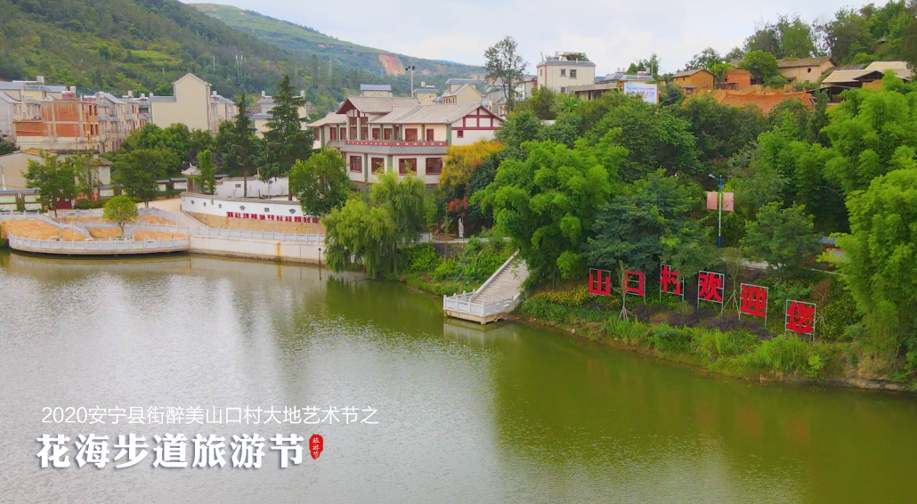 2020云南安宁县街最美山口村大地艺术节之花海步道旅游节启幕