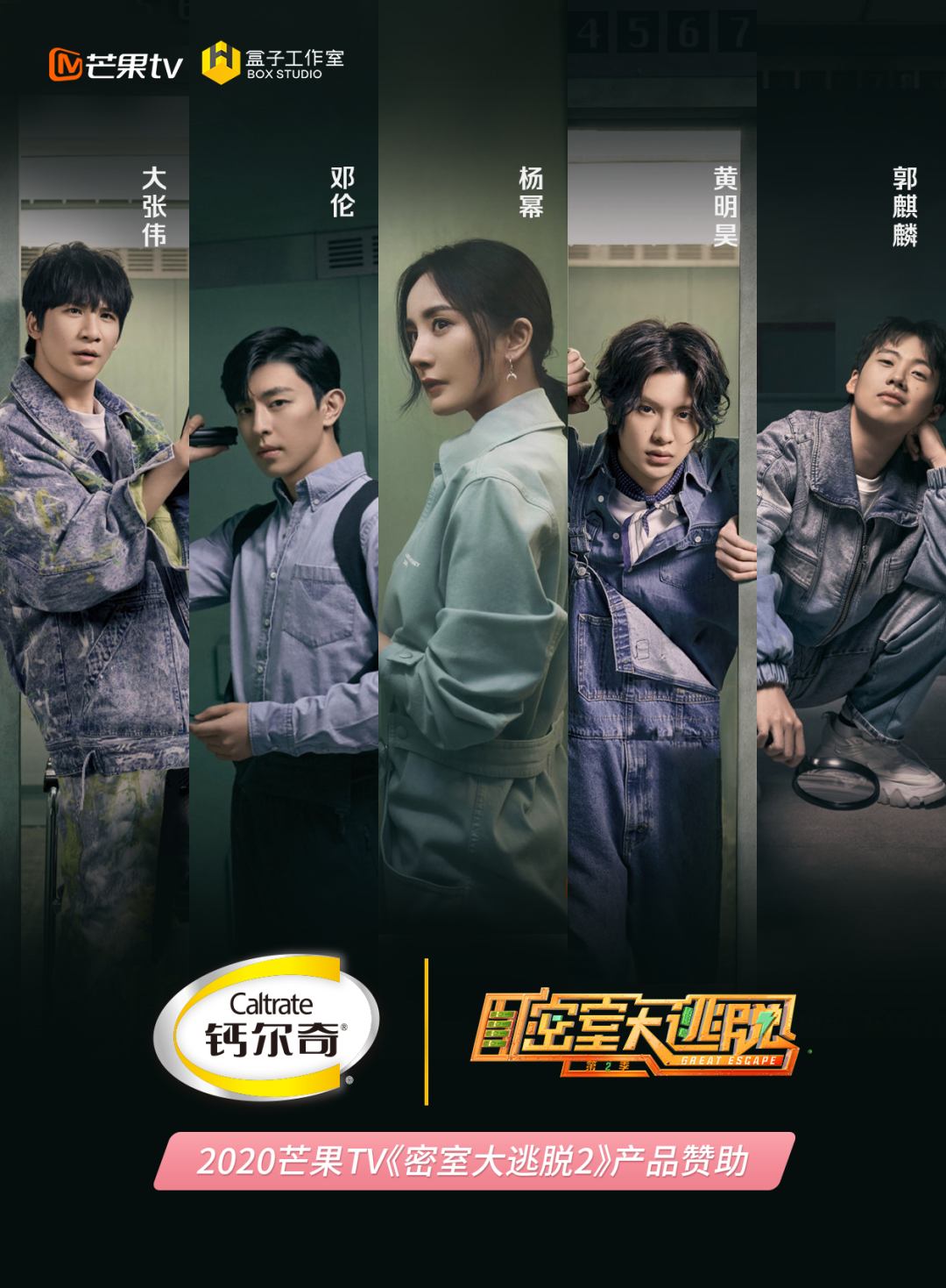 钙尔奇再度携手杨幂，花式营销圈粉年轻新客