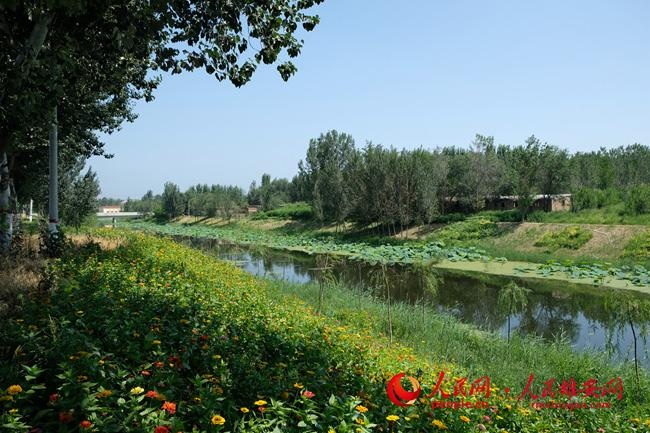 雄安:"黑科技""村规民约"齐发力 白洋淀水质质变好百姓生活美了|雄安|