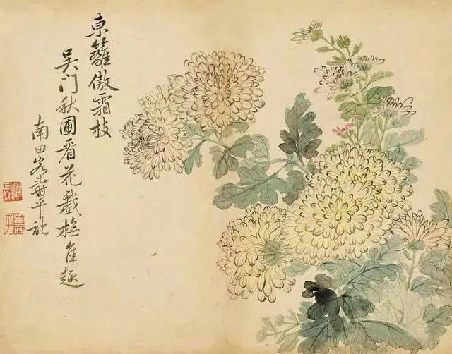 恽寿平:他的花是从生命里开出来