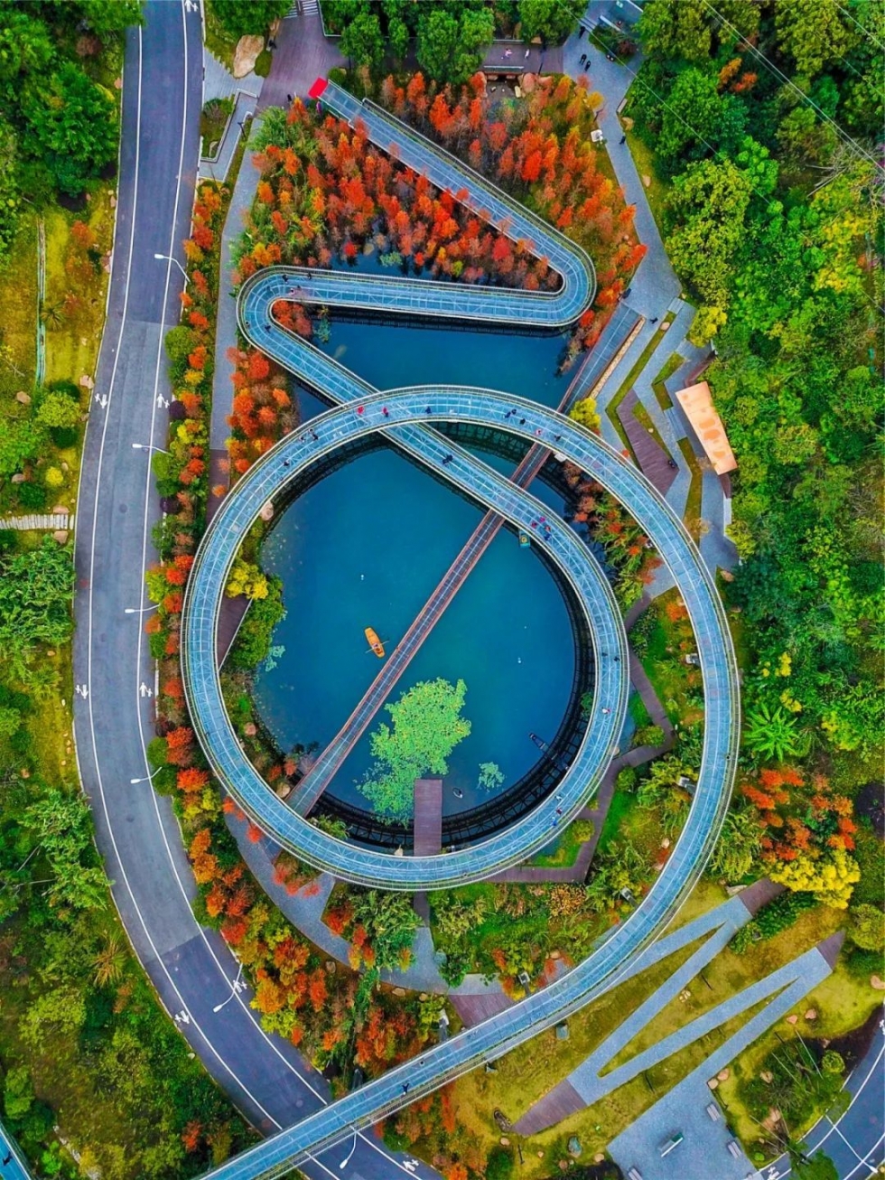 空中俯瞰鼓楼的福道 摄影 陈鹤