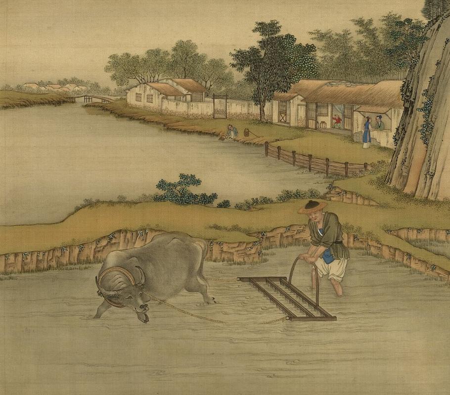 古画放大一粒米怎样走上古人的餐桌