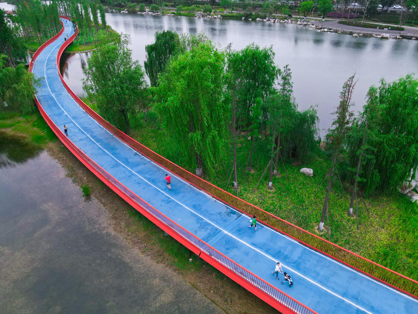 天府绿道和亲水栈道,吸引大量的市民前去跑步健身.图据icphoto
