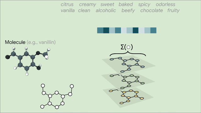 ▲气味小分子的传递过程