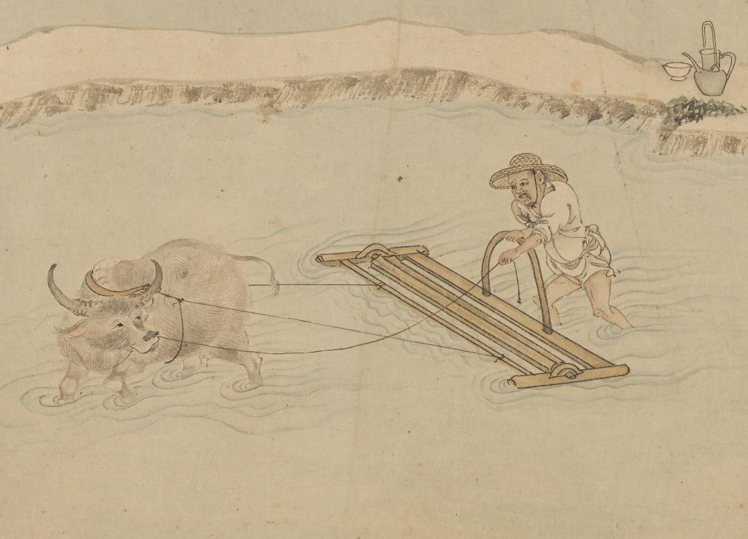 大草垛子剔除出来把翻松的土地中的大土块弄碎继续整田除草耙耨[nòu]