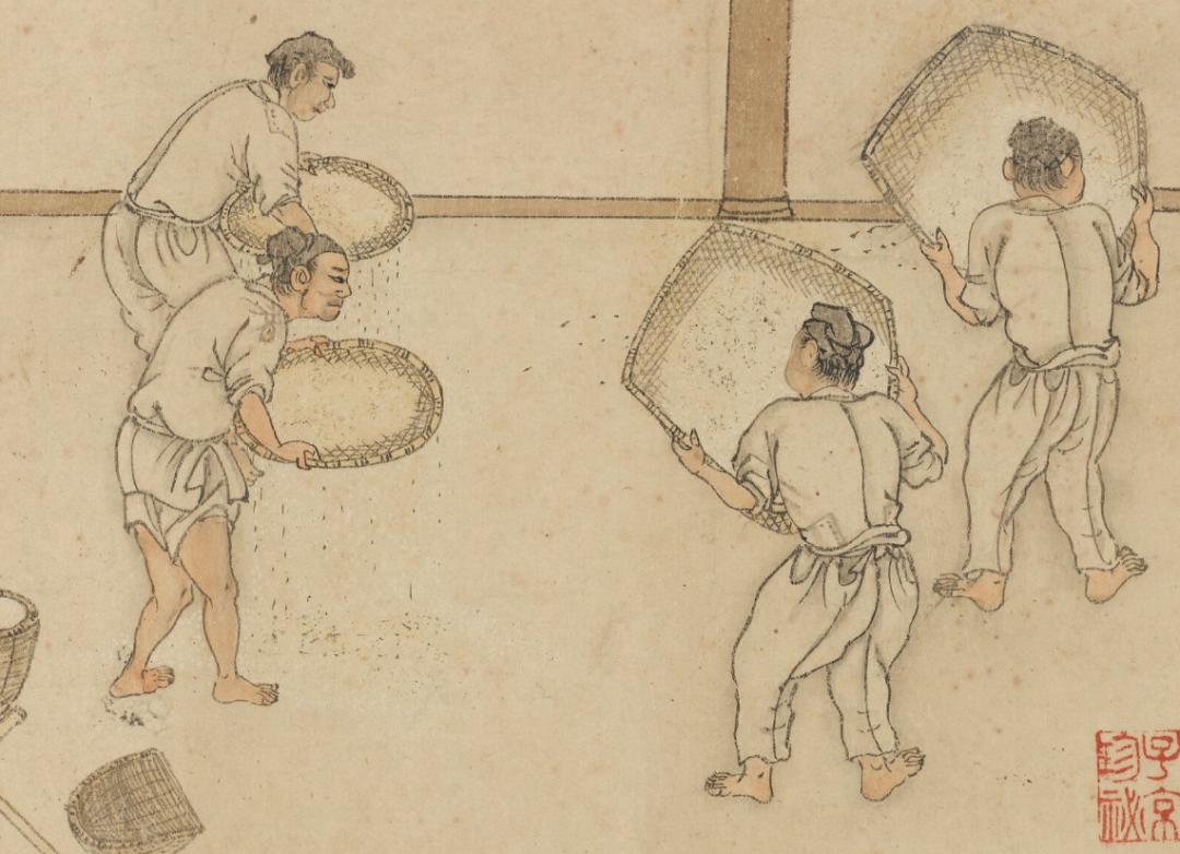 古画放大一粒米怎样走上古人的餐桌