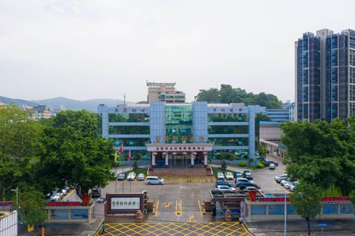 【乡村振兴莞邑镇村行】凤岗官井头村:擘画"三圈"发展蓝图,打造宜居宜