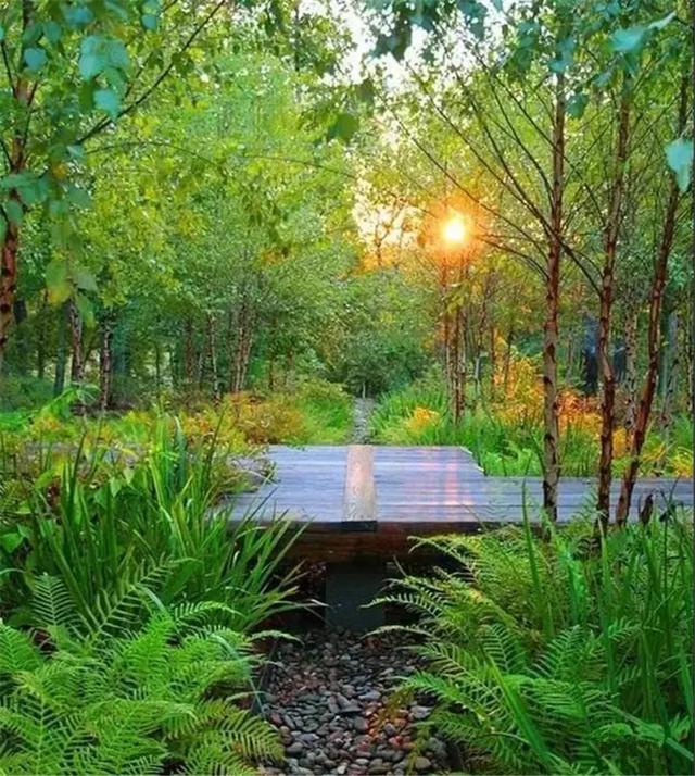 疗养景观 · 景观中的"治愈系"|景观|疗养|因子_新浪新闻